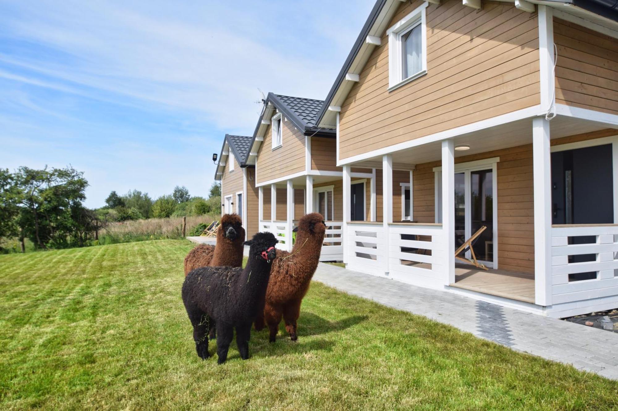 Torfu Holiday home *