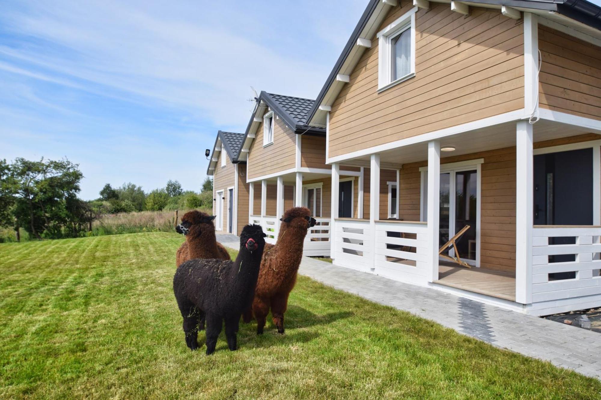 Holiday home Torfu *